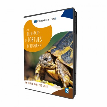 dvd-tortues
